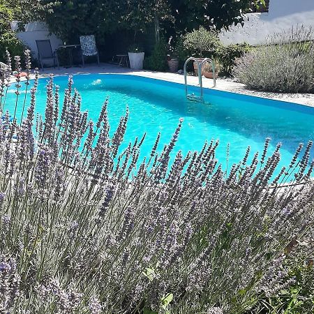 Apartman Marija 2 Srbobran Εξωτερικό φωτογραφία